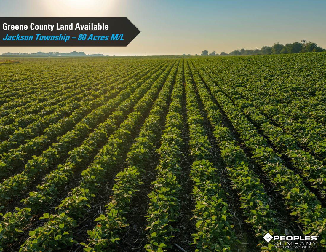 Listing Photo: Greene-County-Iowa-Farmland-Available-80-Acres-Scranton-Jefferson-19706 (8)